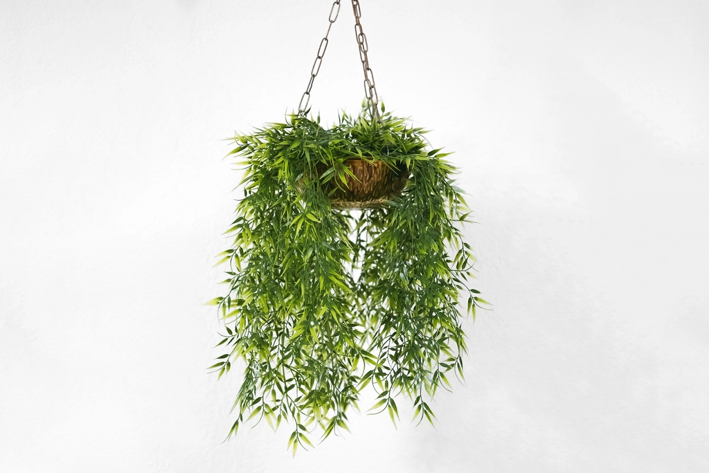 Plantas em vasos suspensos