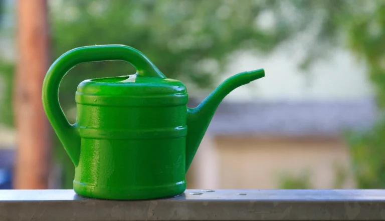 Regador molhando plantas em vasos