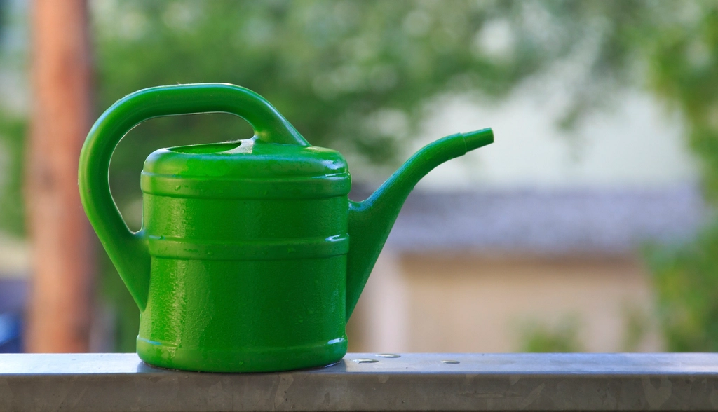Regador molhando plantas em vasos
