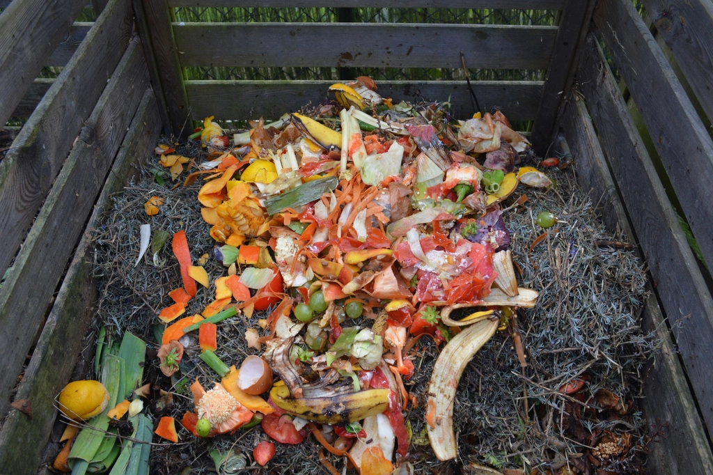 Restos de alimentos e composto